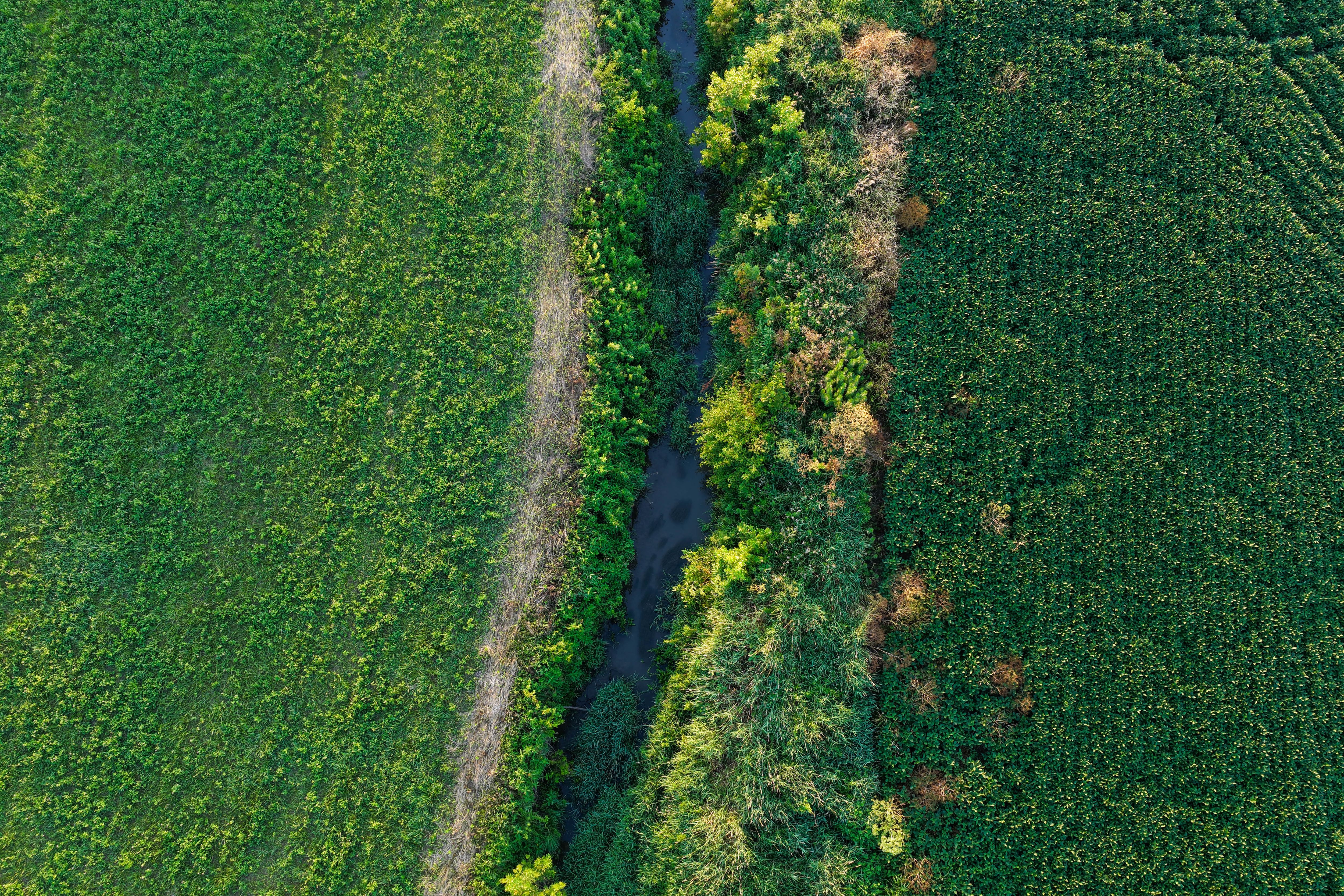 Listing Photo: Johnson County Land For Sale-13
